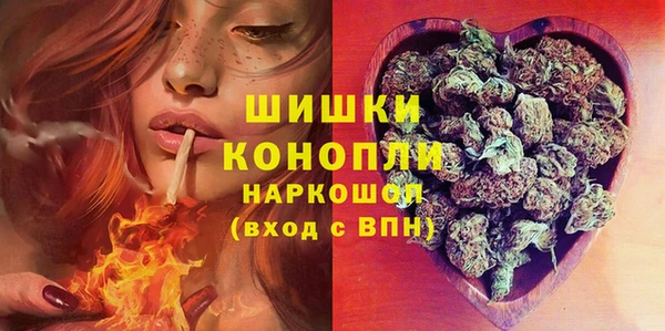 мдпв Кукмор