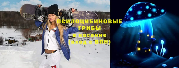 мдпв Кукмор