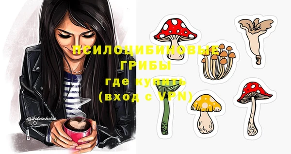 мдпв Кукмор