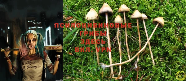 прущие крисы Кулебаки