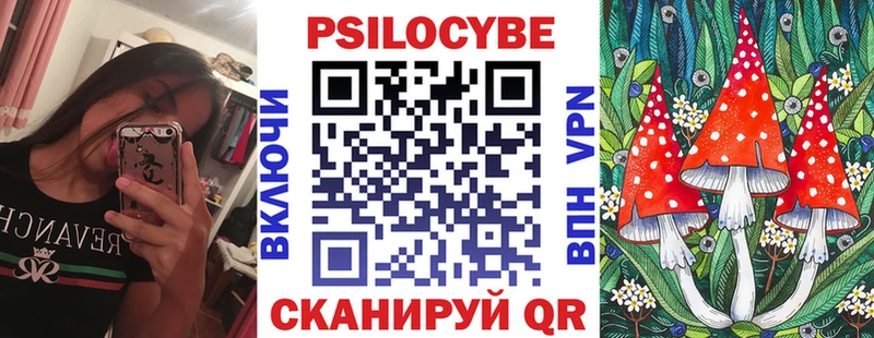 Купить где  Олёкминск  Псилоцибиновые грибы Psilocybe 