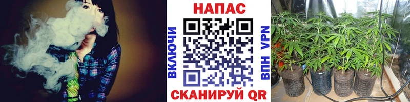 Конопля марихуана  Купить где  Олёкминск 